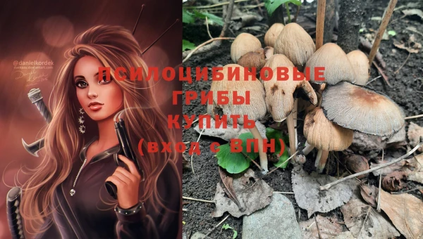jwh Бронницы