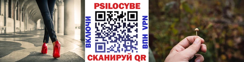 Псилоцибиновые грибы Psilocybe  наркошоп  Прокопьевск 